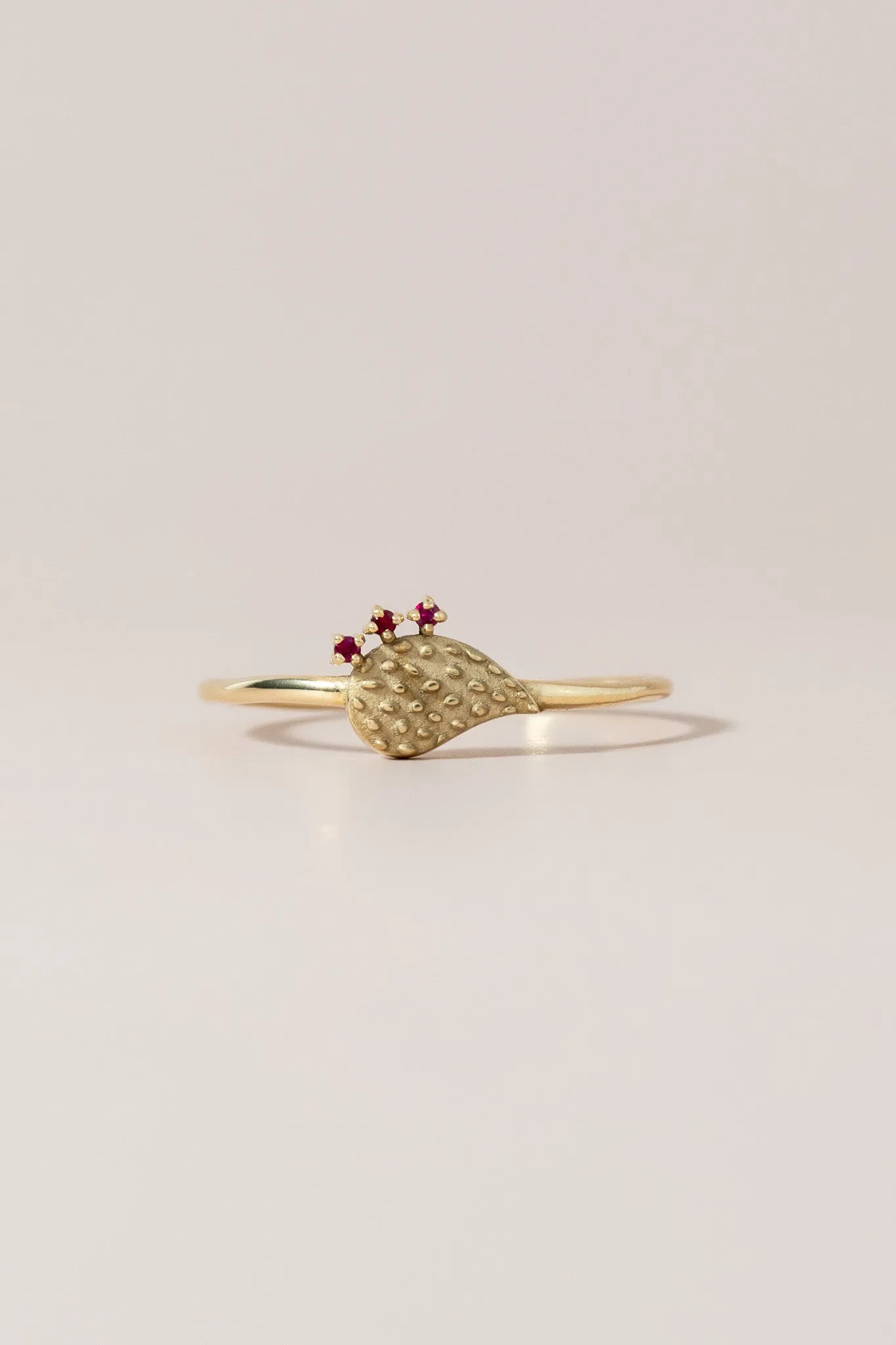 14K Ruby Nopalito Ring