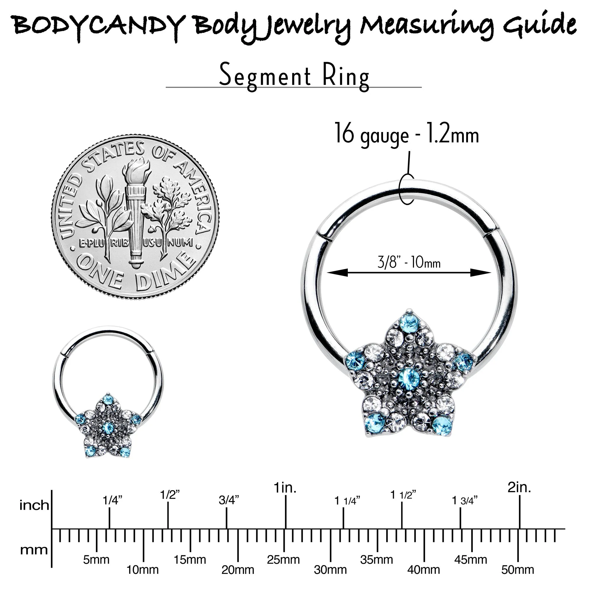 16 Gauge 3/8 Blue Clear Gem Opulent Flower Hinged Segment Ring