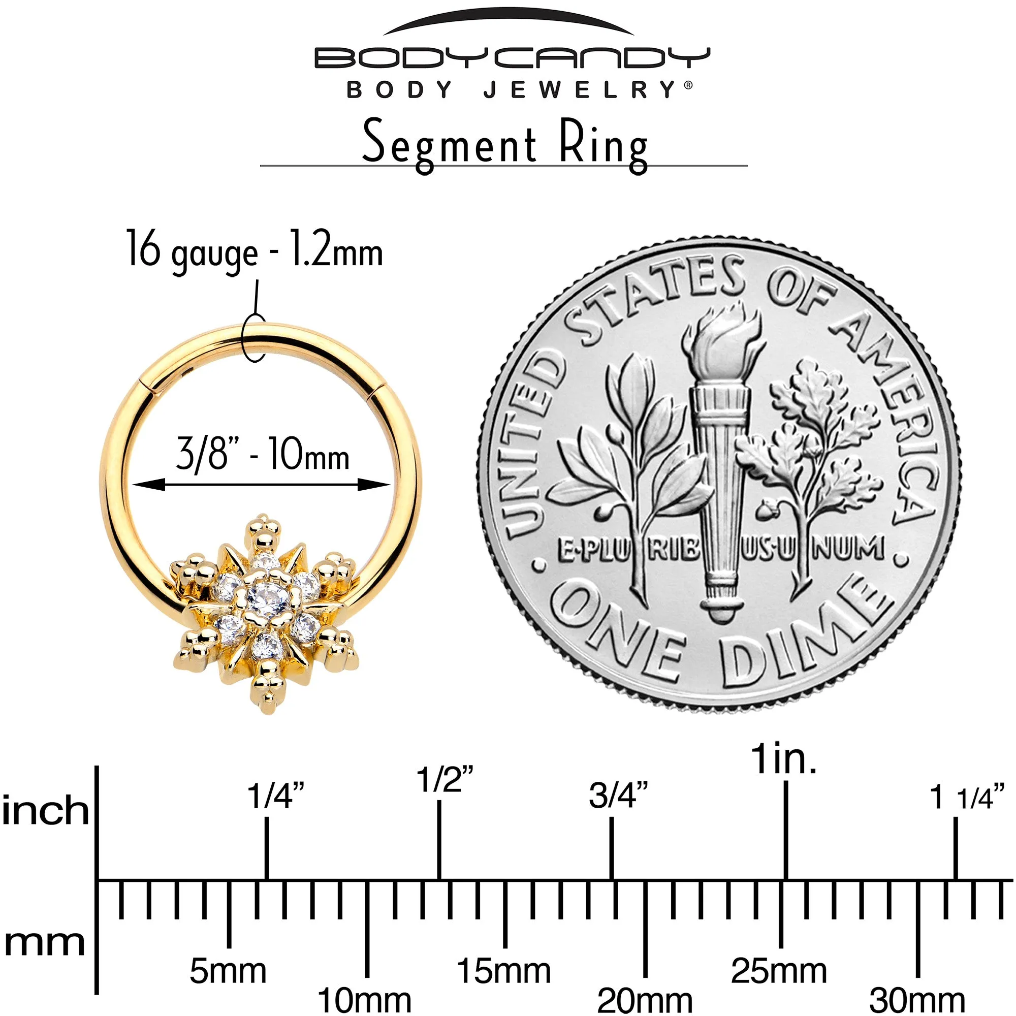 16 Gauge 3/8 Clear CZ Gem Gold Tone Glam Snowflake Hinged Segment Ring