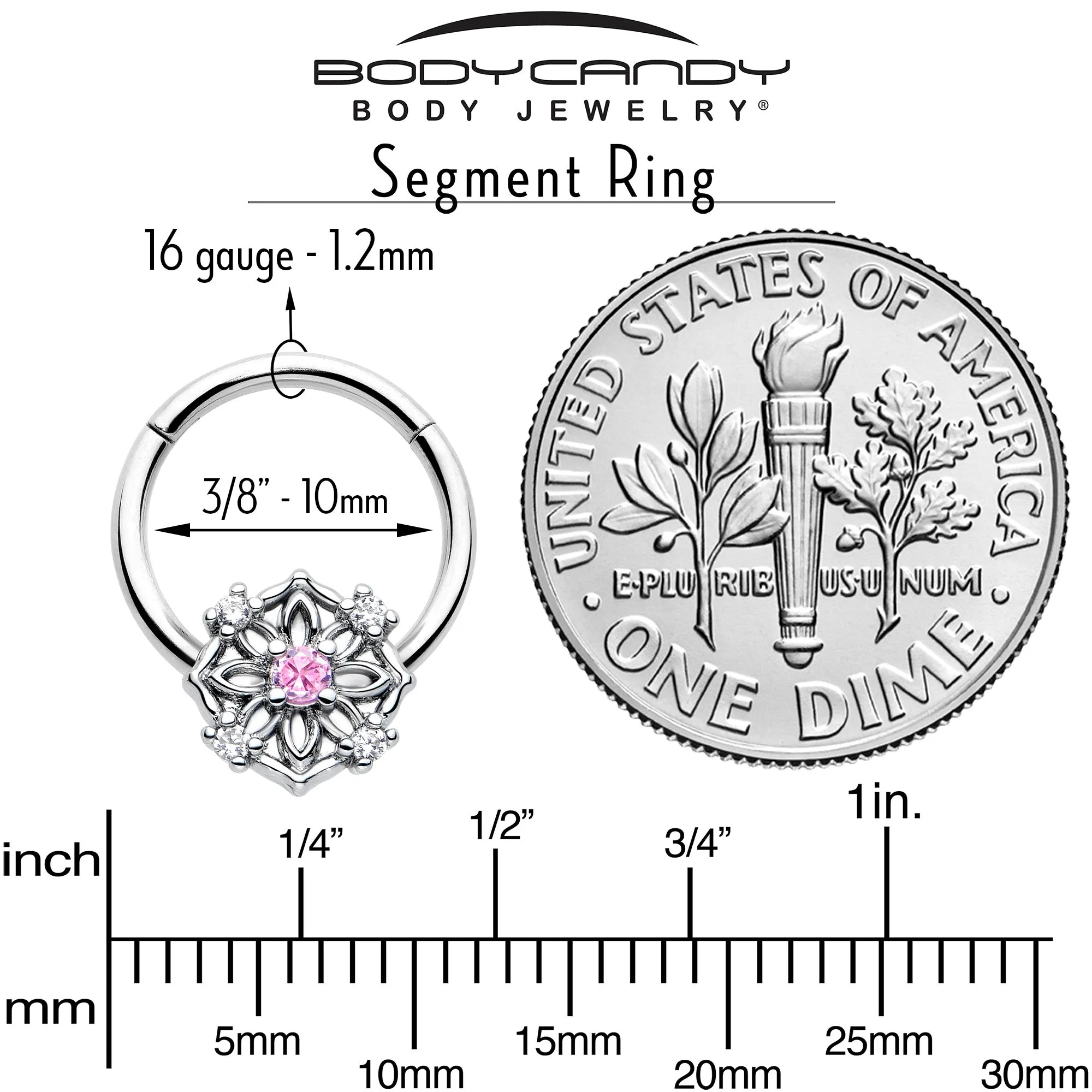 16 Gauge 3/8 Pink CZ Gem Flower Circle Hinged Segment Ring