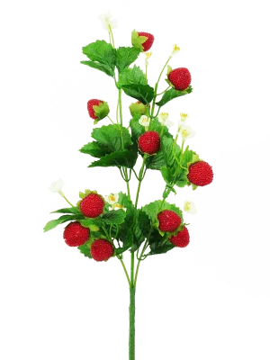 24" Strawberry Spray - 62693SP24