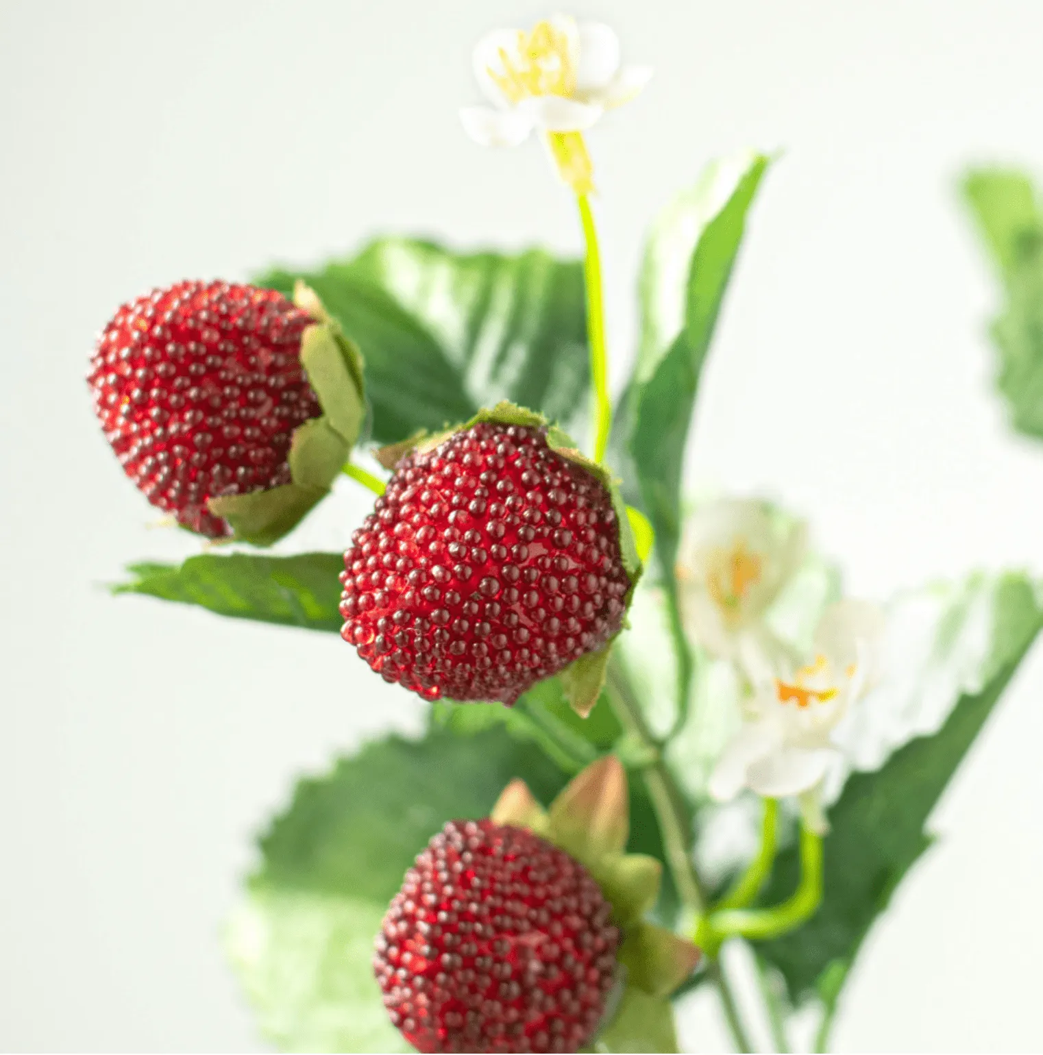 24" Strawberry Spray - 62693SP24