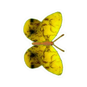 Ante Iridem Margo (Vinyl Decals)(Butterfly Glade Denizen) RJSTH@Fabric#1_4 of 15 RJSTHw2023 RJS