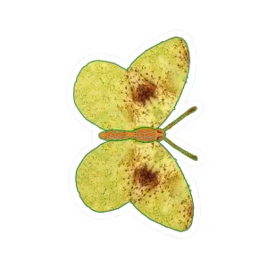 Ante Iridem Margo (Vinyl Decals)(Butterfly Glade Denizen) RJSTH@Fabric#2_2 of 16 RJSTHw2023 RJS
