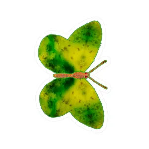 Ante Iridem Margo (Vinyl Decals)(Butterfly Glade Denizen) RJSTH@Fabric#3_11 of 16 RJSTHw2023 RJS