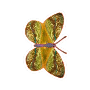 Ante Iridem Margo (Vinyl Decals)(Butterfly Glade Denizen) RJSTH@Fabric#6_13 of 16 RJSTHw2023 RJS