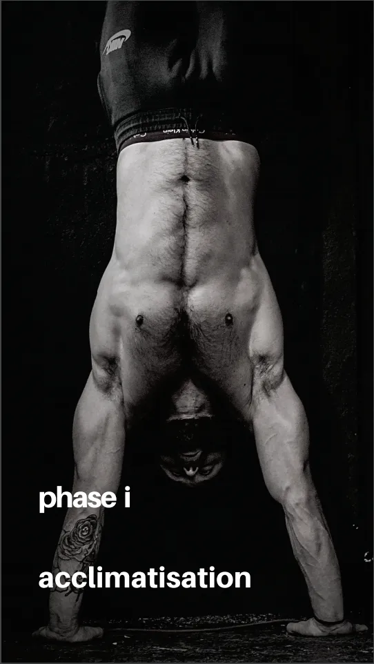 Body(weight) Building: The Guide - Andrew Tracey