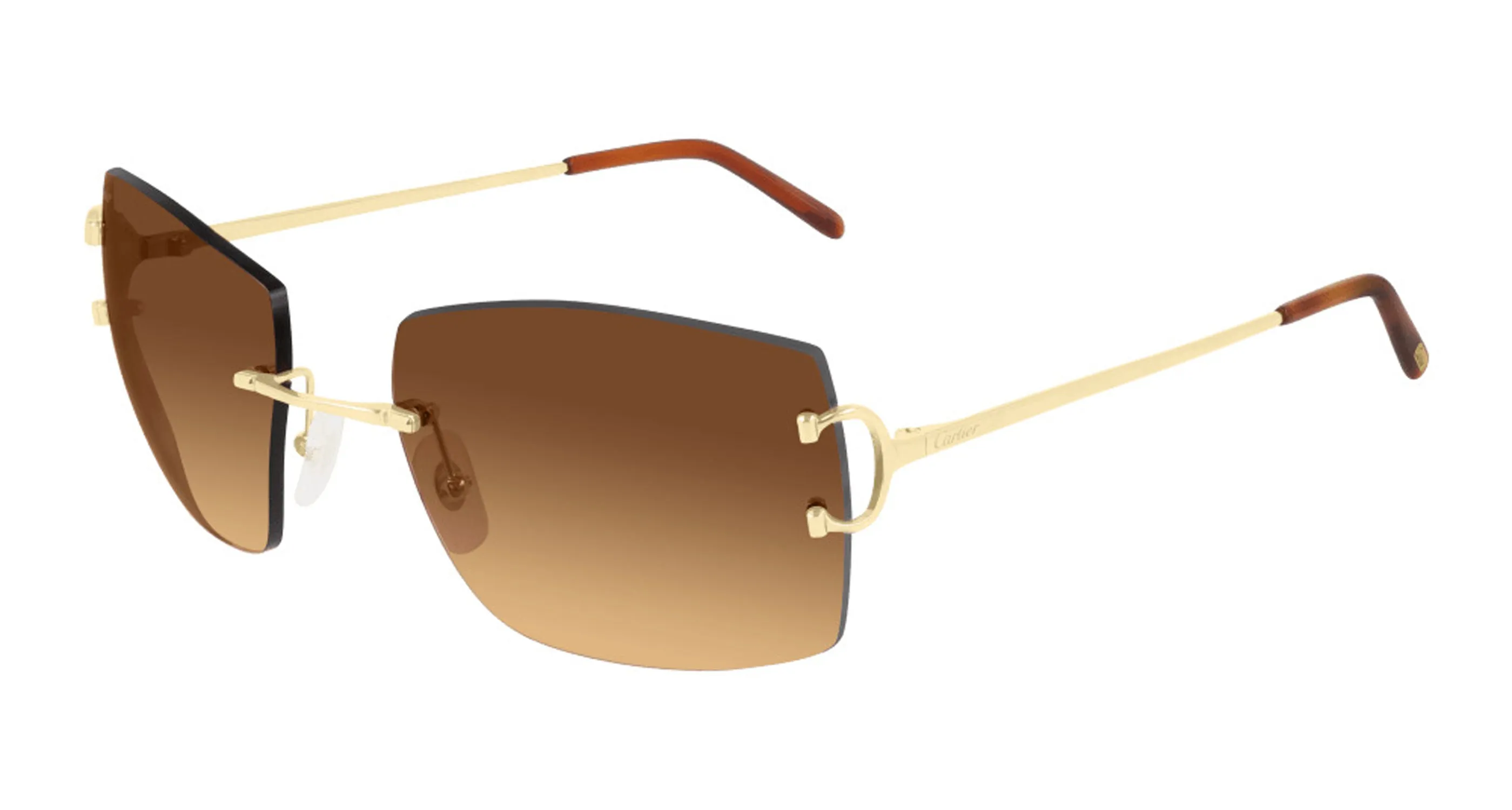 CT0009RS-001