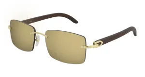 CT0012RS-001