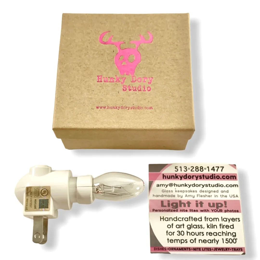 Cute Cats in Pussy Willow by Rose Slader Night Light