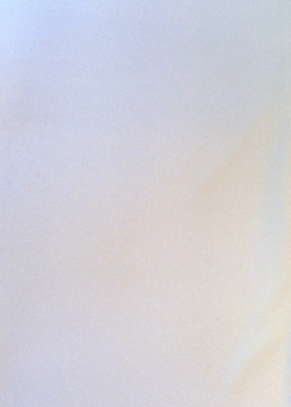 Dust Mask