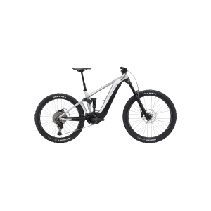 Giant Reign E  3 - Raw Aluminum