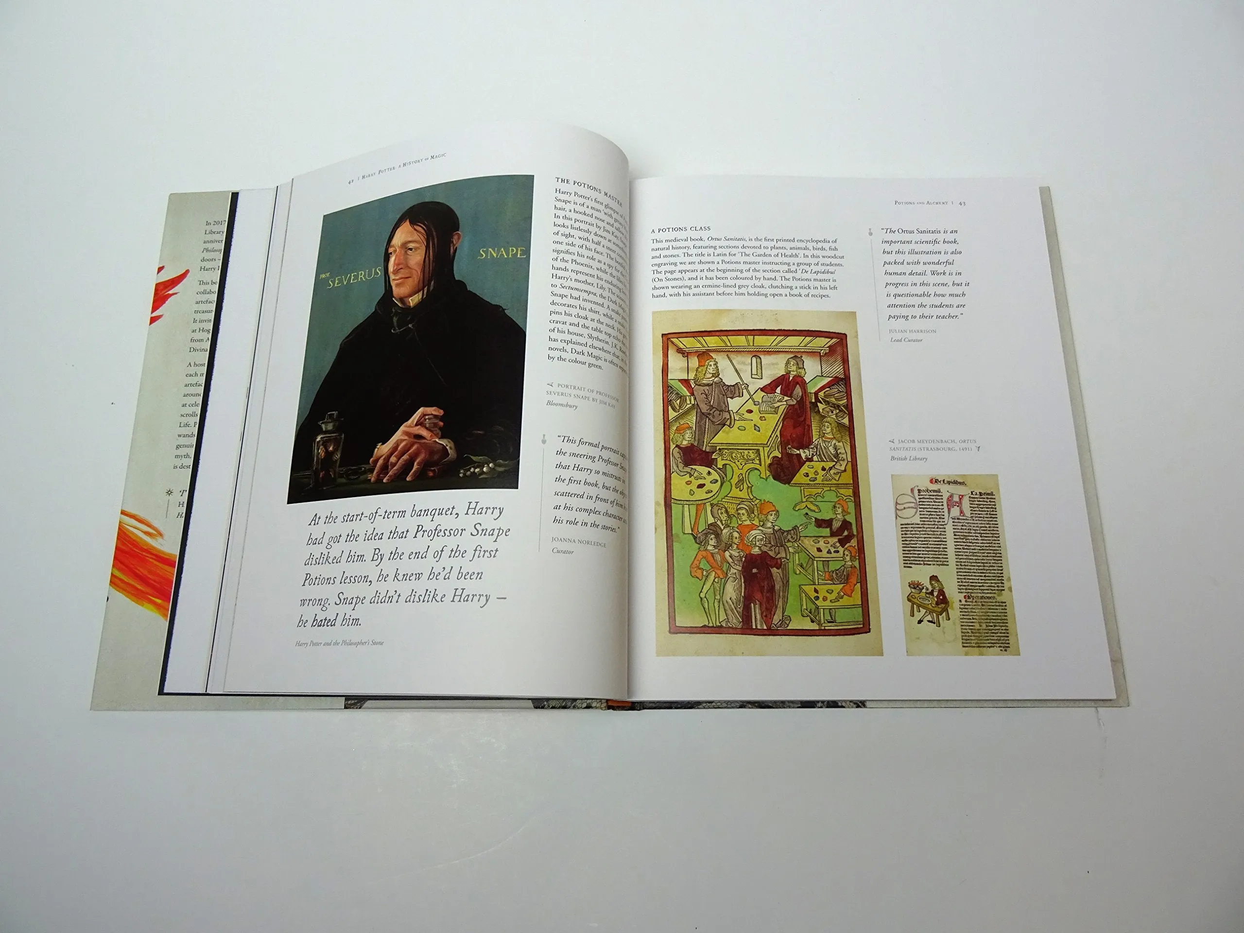 Harry Potter A History of Magic: The Book of the Exhibition