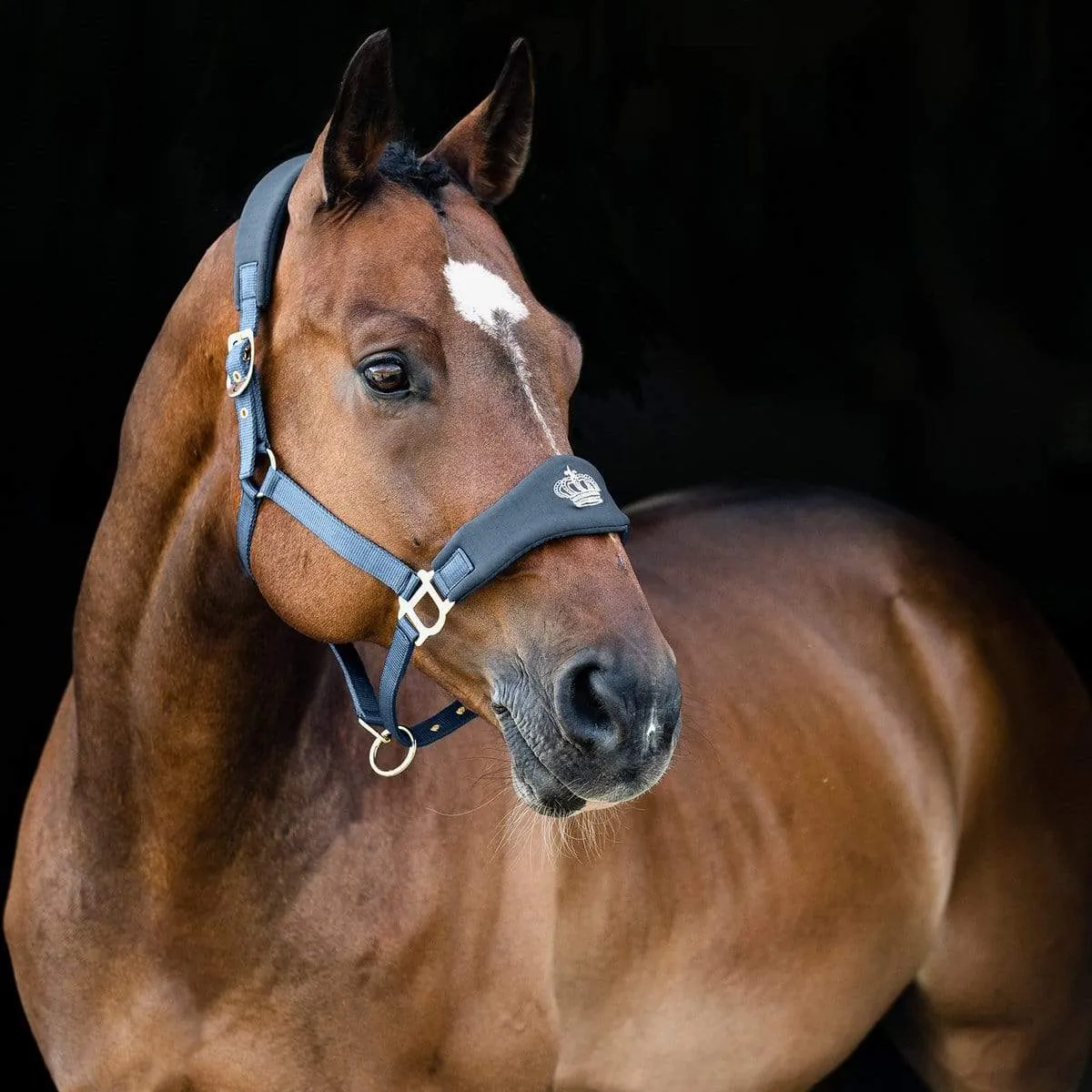 Horze Amalfi Halter