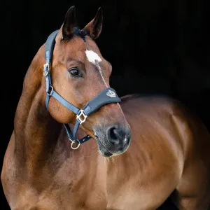 Horze Amalfi Halter