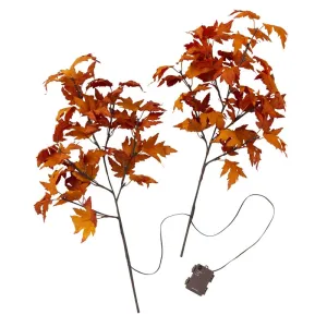 Indoor/Outdoor Lighted Maple Tree Branches, Set of 2,65j43