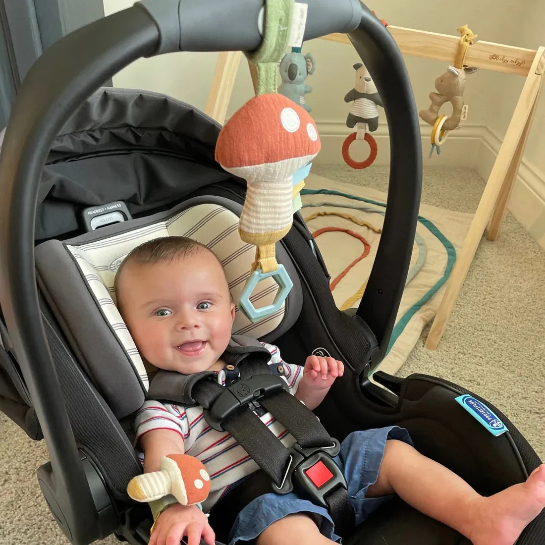 Itzy Ritzy - Attachable Travel Toy - Mushroom