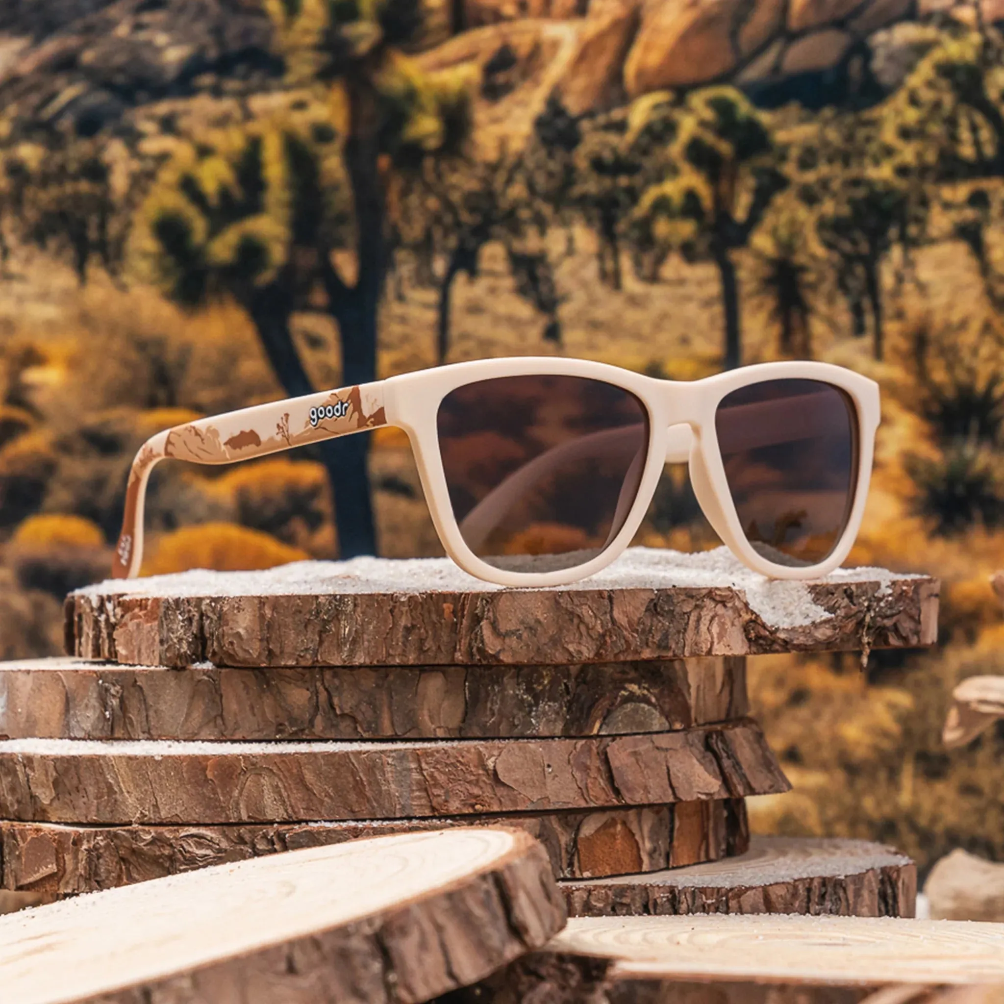 Joshua Tree 2024