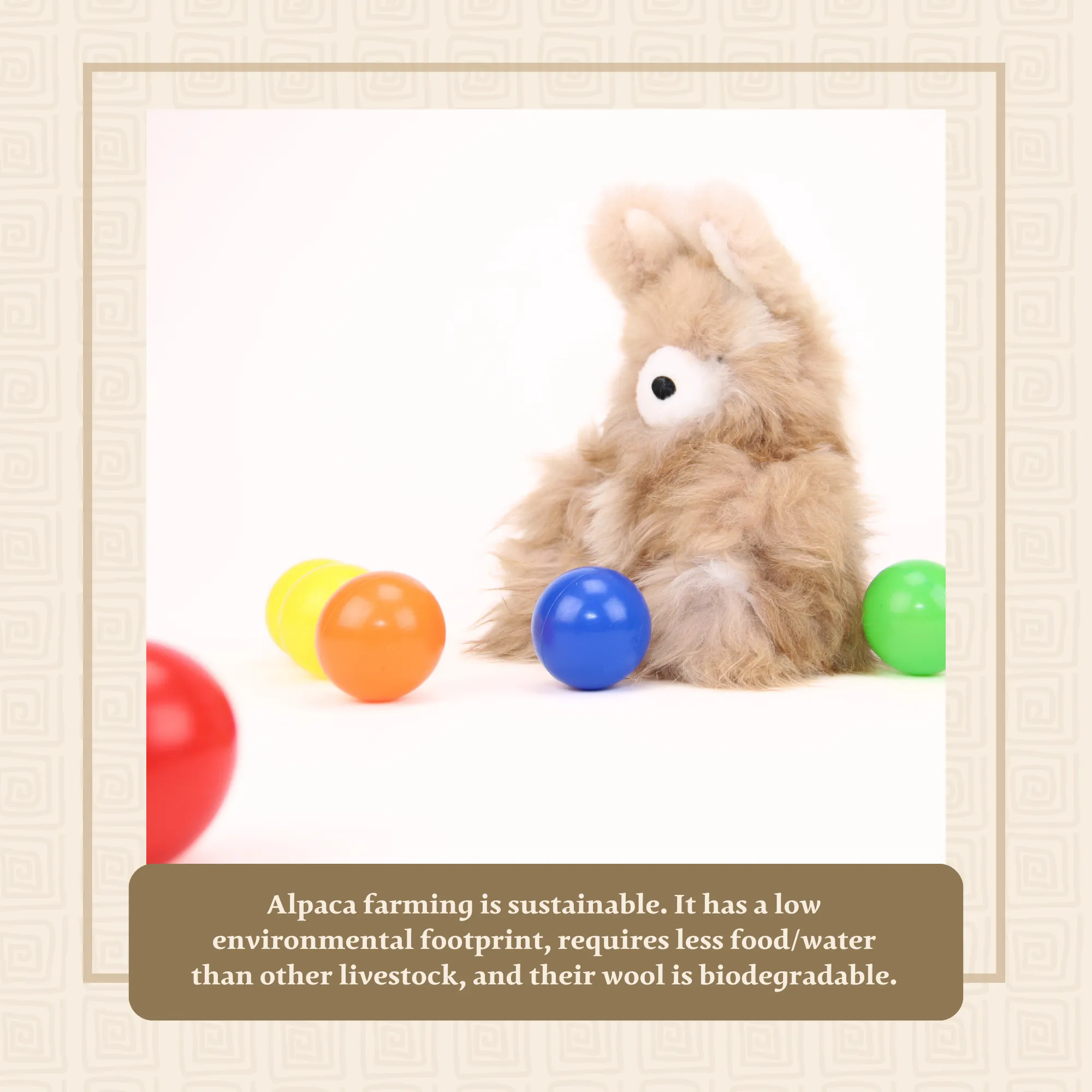 Light Brown Rabbit with White Nose