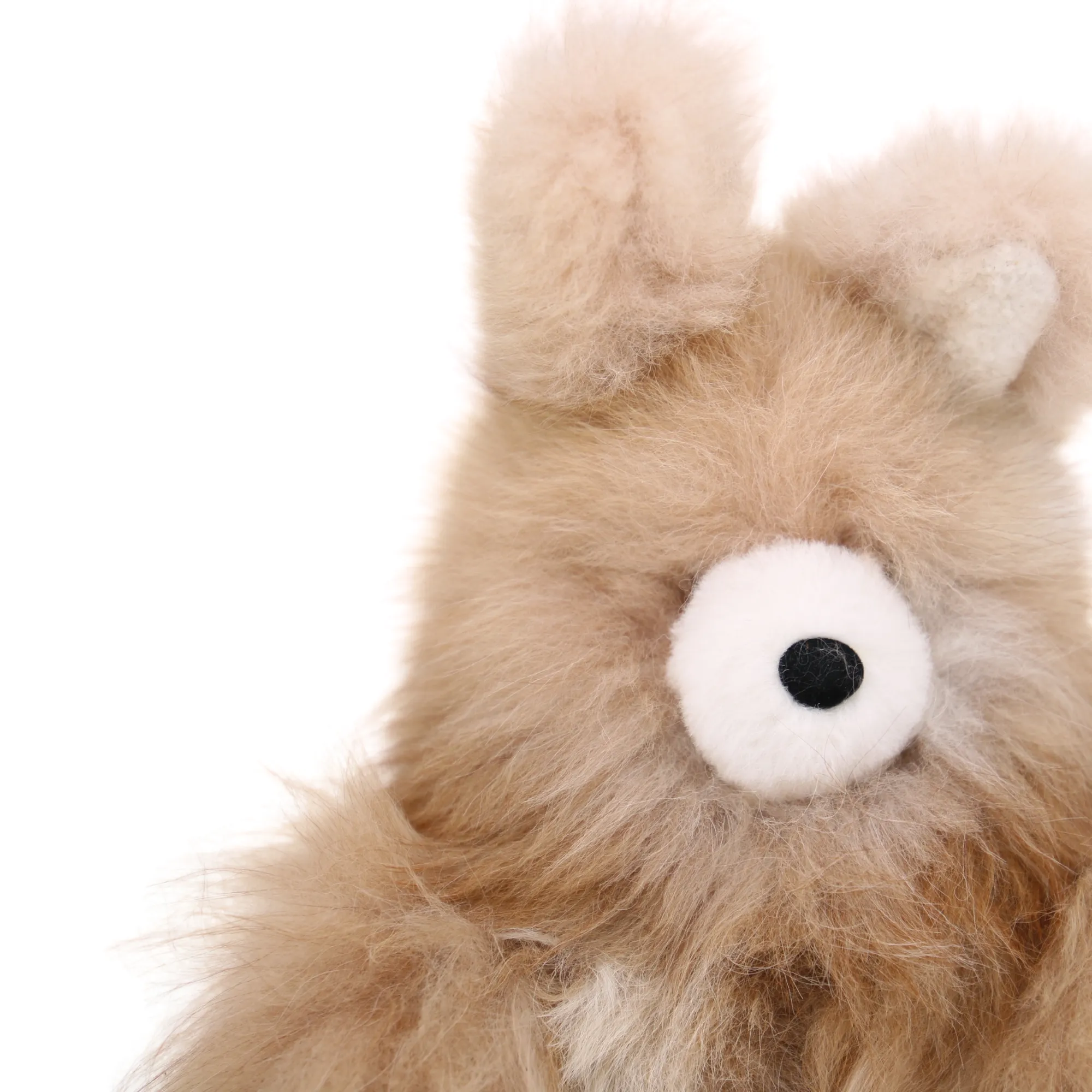 Light Brown Rabbit with White Nose
