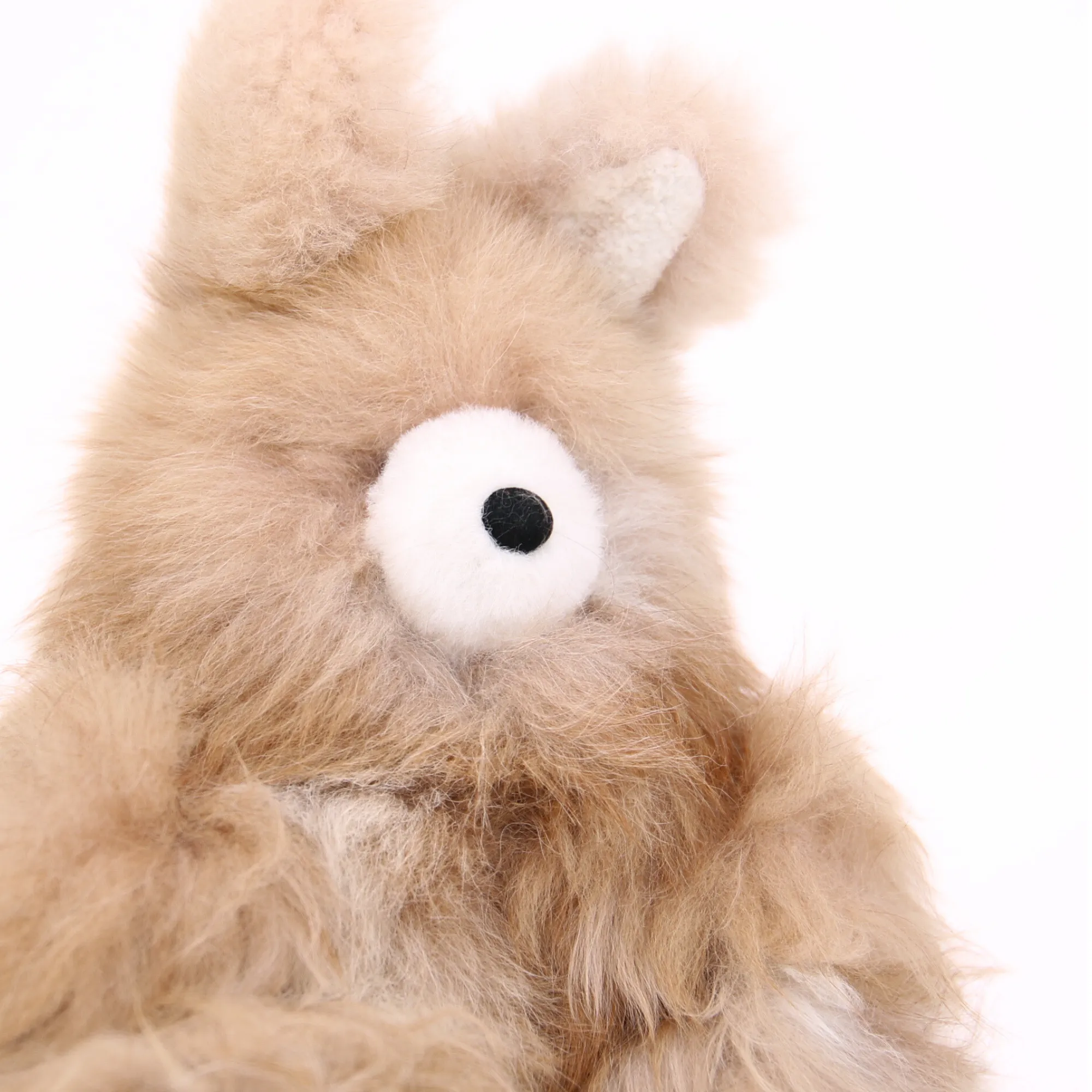 Light Brown Rabbit with White Nose
