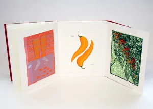 Mixtura by Kathleen O’Connell and Taller 72