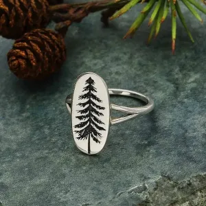 Pine Tree Ring