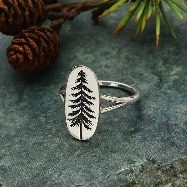 Pine Tree Ring