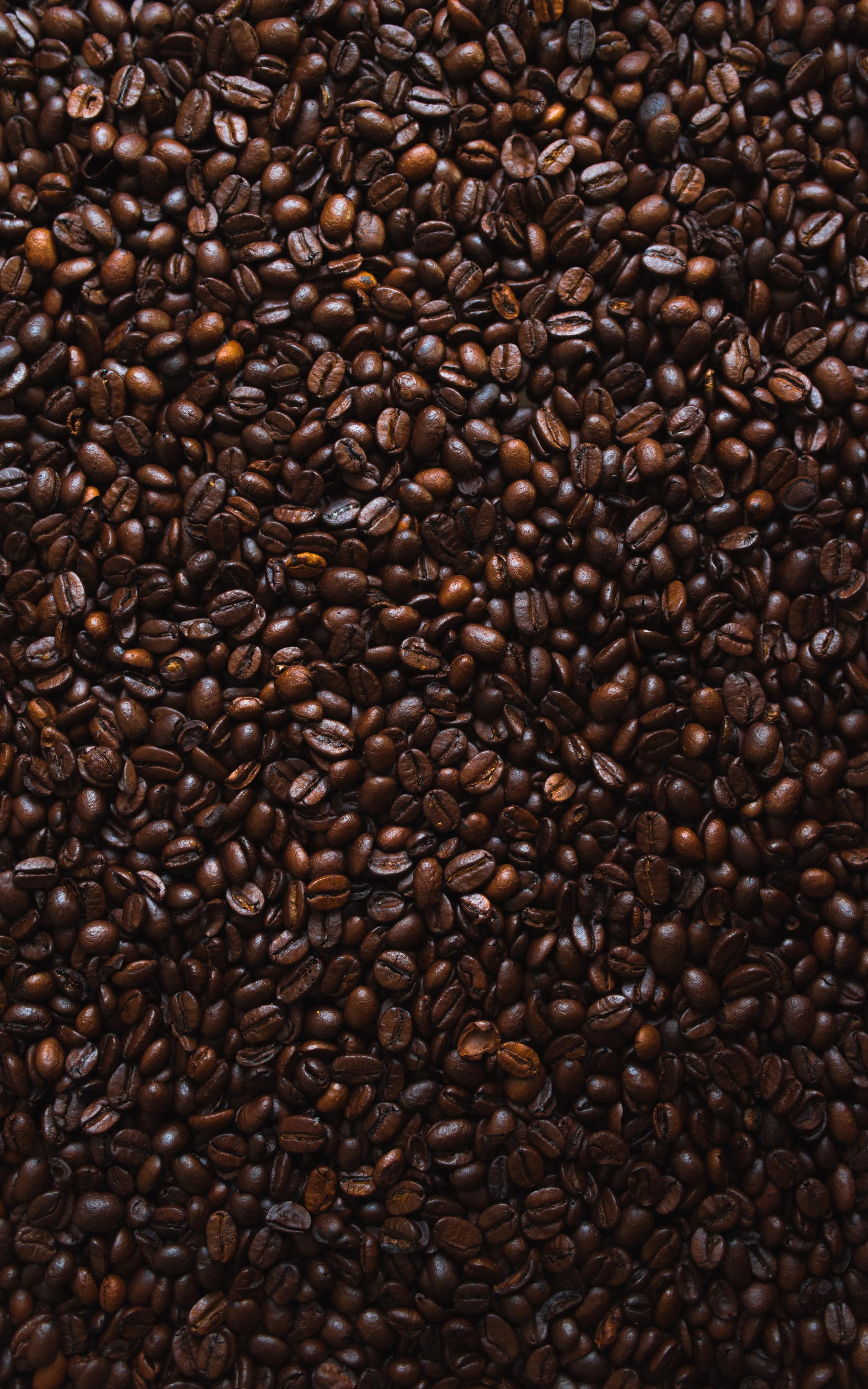 SINGLE ORIGIN
