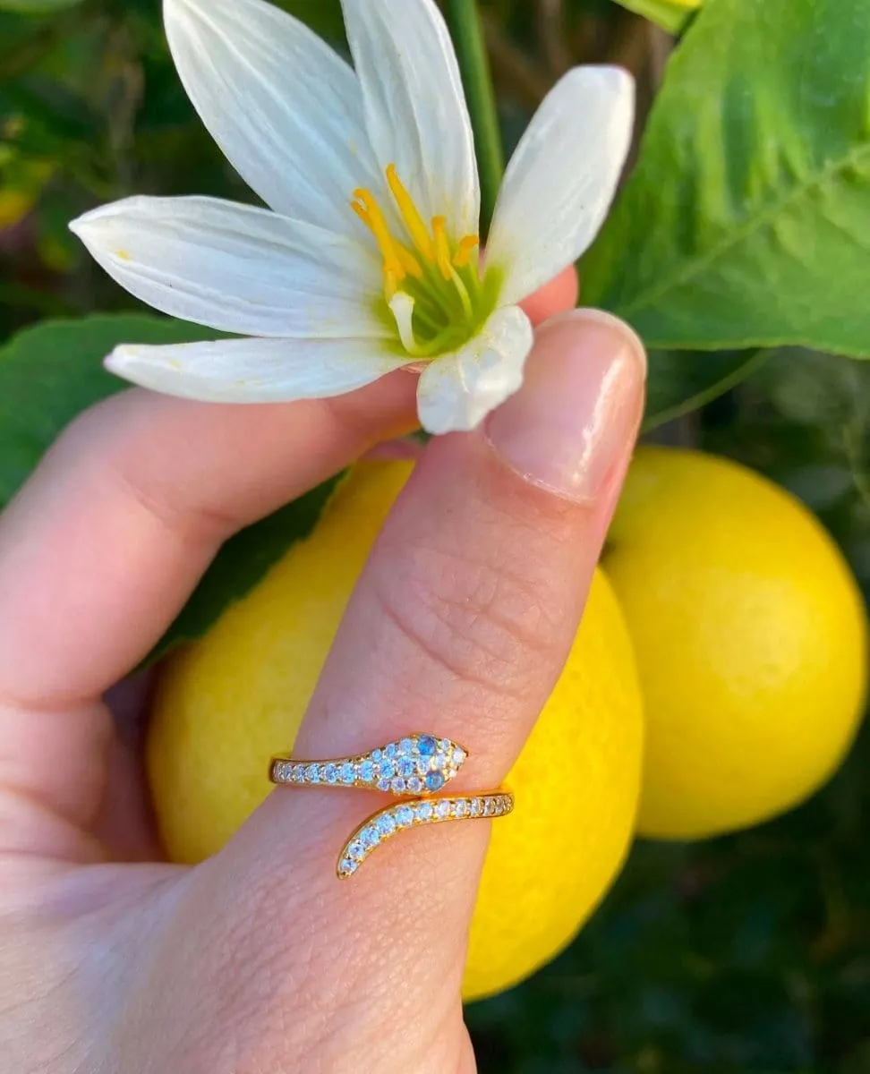 Snake Charmer Ring- 14K gold Vermei