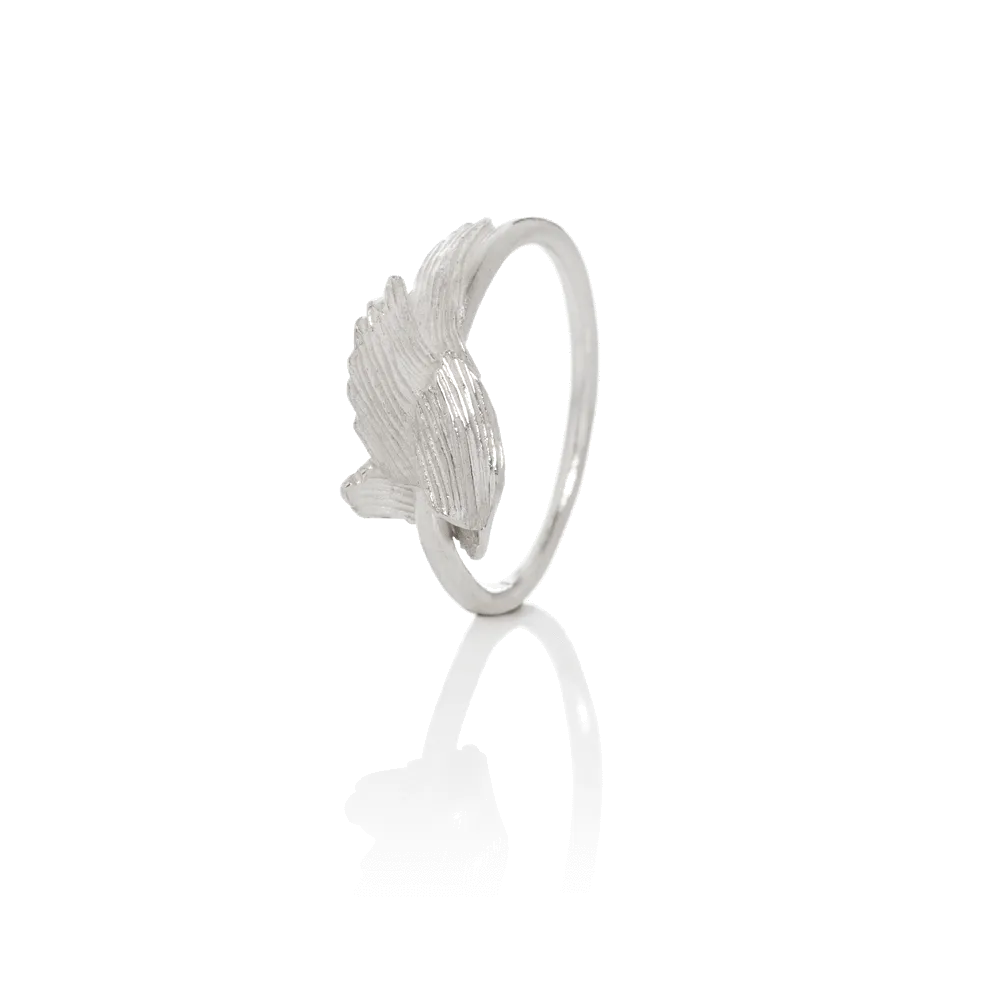 SWAN ring