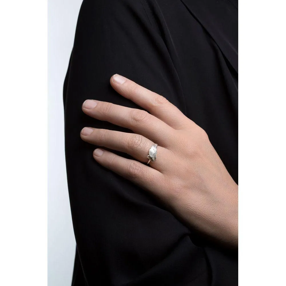 SWAN ring