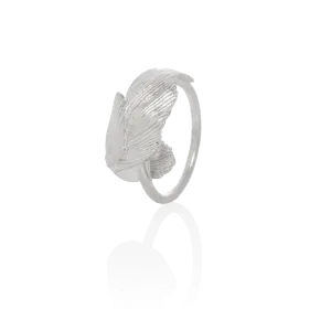 SWAN ring