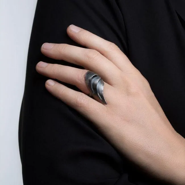 SWAN ring