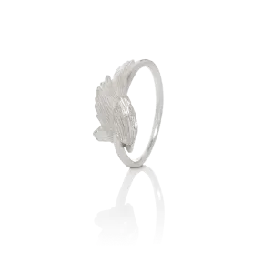 SWAN ring