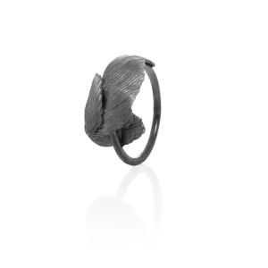 SWAN ring