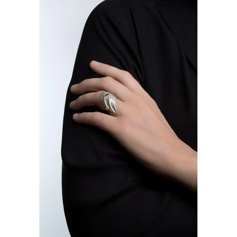 SWAN ring