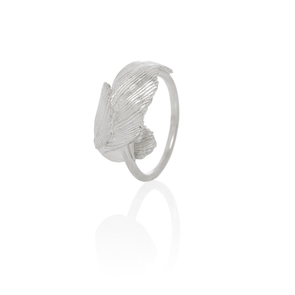SWAN ring