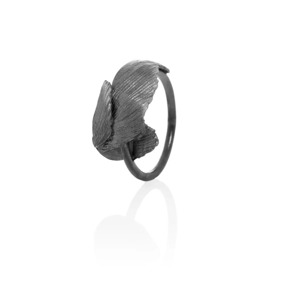SWAN ring