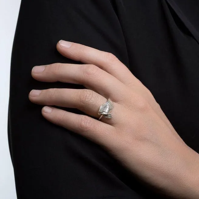 SWAN ring